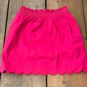 J. Crew Factory Skirt 0